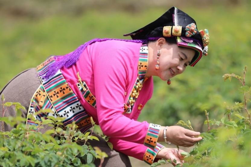 1769580763962557.jpg 02.jpg